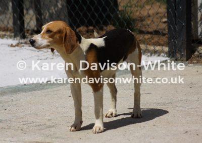 img_1629svb-pantry-karendavisonwhite