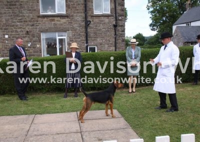 IMG_1630Best entered hound Agile