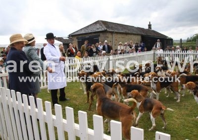 IMG_1649High Peak Harriers karendavisonwhite