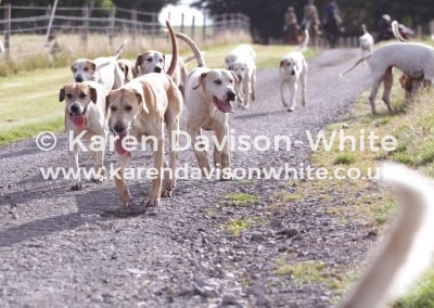 IMG_1662Exmoor fh karendavisonwhite