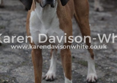 IMG_1739American line karendavisonwhite