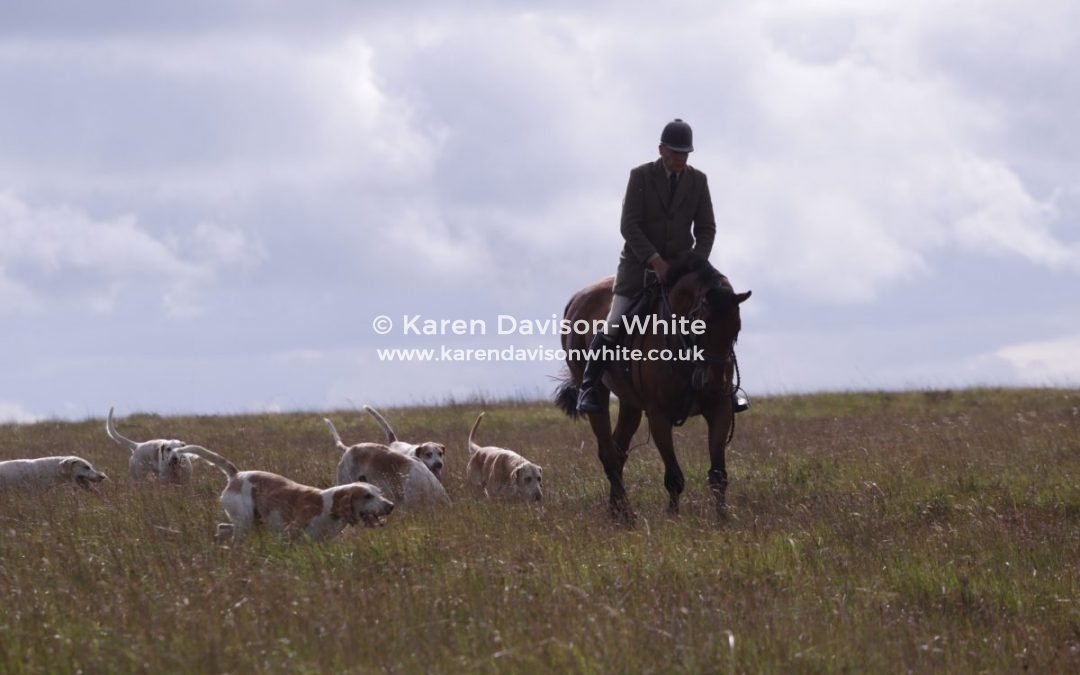 Stars of the West 1st August, 2018