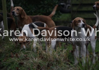 IMG_1845Easton Harriers karendavisonwhite
