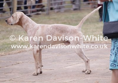 IMG_1955West Somerset