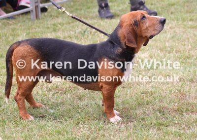 img_2175ettienne-karendavisonwhitech-pboro2015