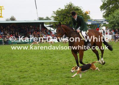 img_2374horse-and-hound