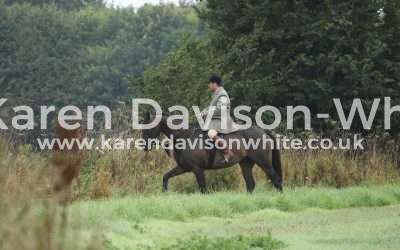 Beckford wrote of “Silence”