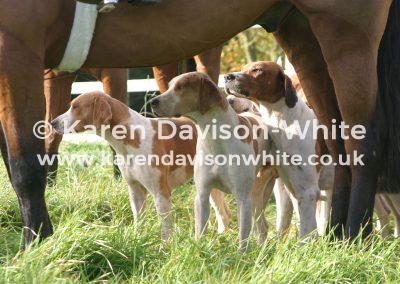 img_2510essex-and-suffolk-fh-kdwimage