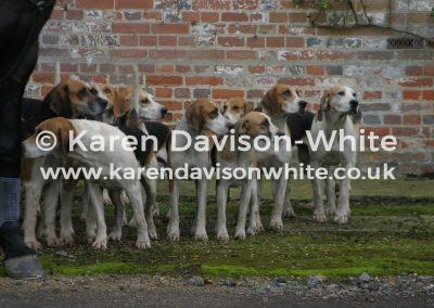 img_2783waveney-harriers-kdwimage