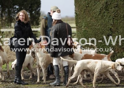 IMG_3132visitor from Palmanova hunt in Italy