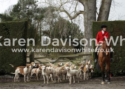 IMG_3146South Wold foxhounds