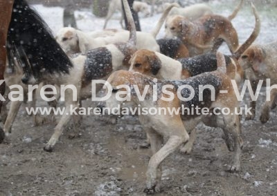 IMG_3229South Wold foxhounds