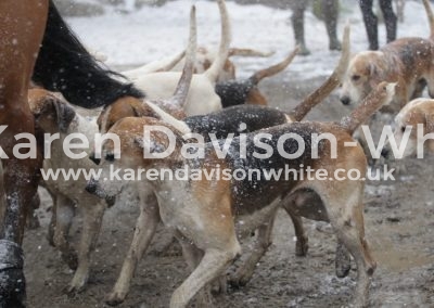 IMG_3230South Wold Foxhounds