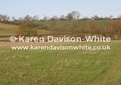 img_3617quorn-kdwimage