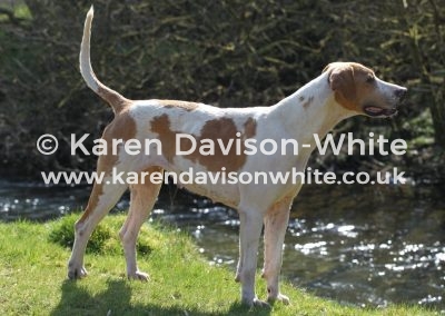 IMG_3679EFH karendavisonwhite April