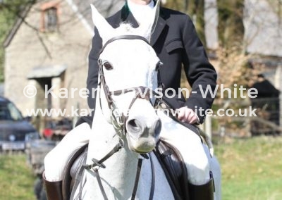 IMG_3696Fitz whip karendavisonwhite