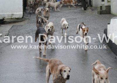 IMG_3714Exmoor foxhounds apr18