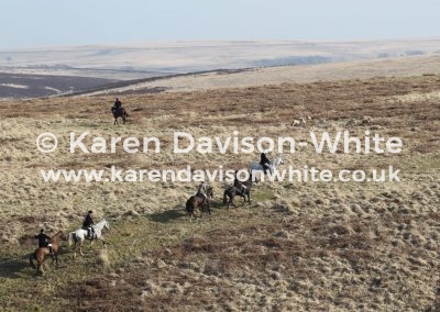 IMG_3777Exmoor foxhounds on the moor karendavisonwhite