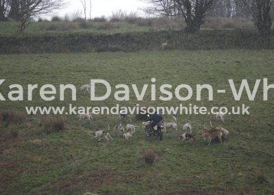IMG_3781Exmoor foxhounds