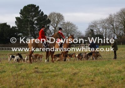 IMG_3798