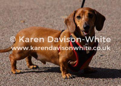 img_4102big-heart-less-of-the-little-body-karendavisonwhite-co-uk