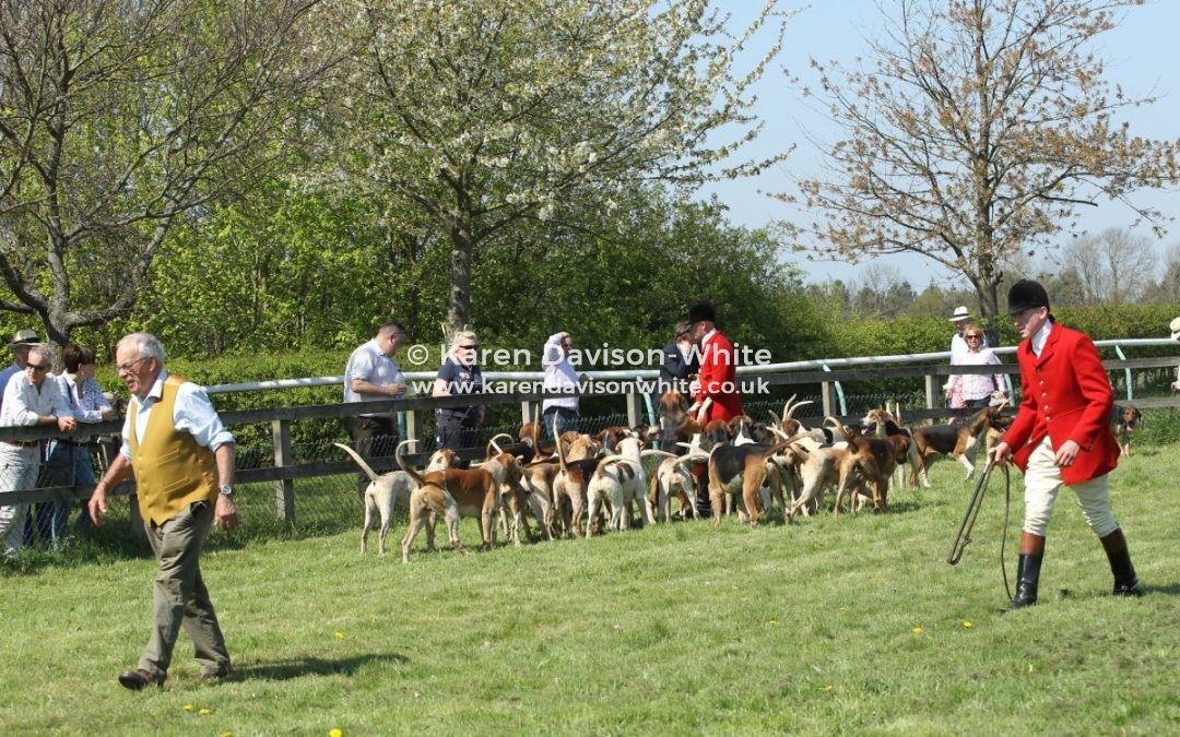 Essex & Suffolk Foxhounds 20th April, 2019