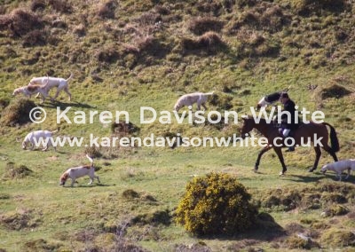 IMG_4361EFH karendavisonwhite
