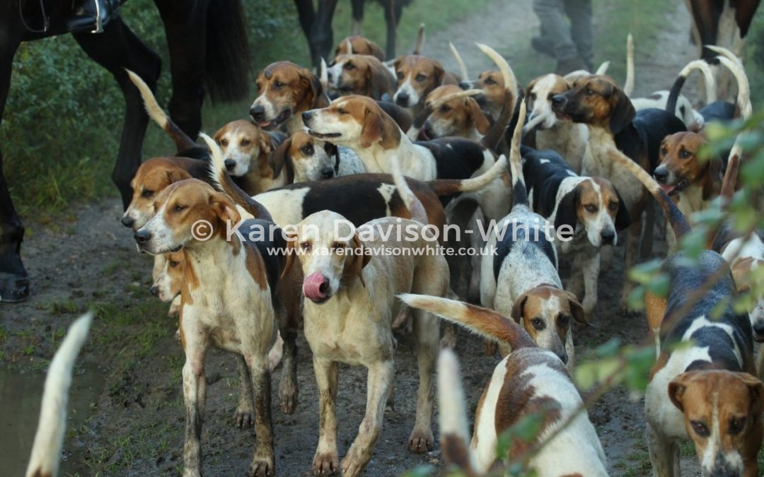 Always our fathers were hunters.