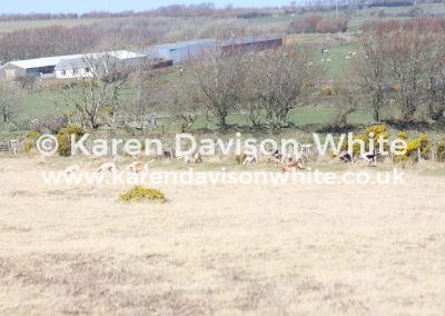 IMG_4399EFH kdw