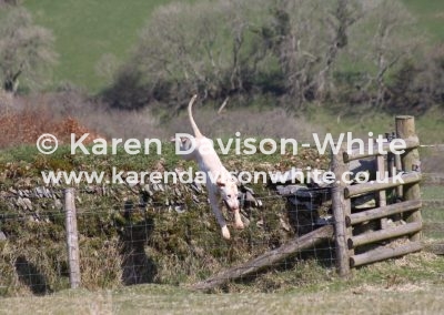 IMG_4415EFH kdw