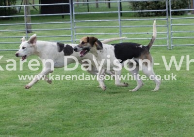 IMG_4612Tri dh Sterling by G&R Stilton '14