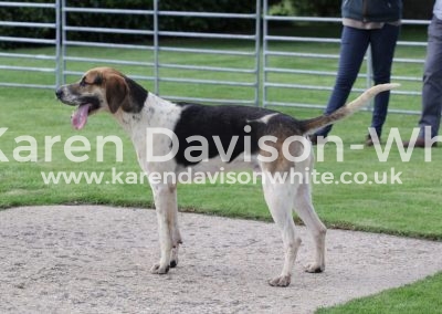 IMG_4618Sterling by G&R Stilton '14 - Gaiety '13