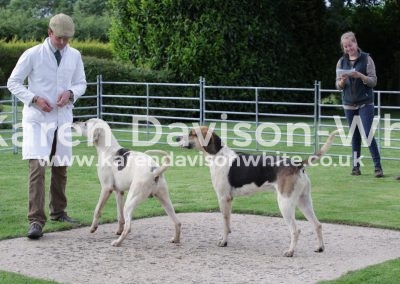 IMG_4619Stagger and Sterling