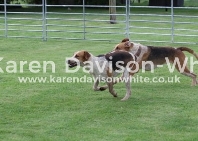 IMG_4652by Cottesmore Moleskin '15 Modern & Motion