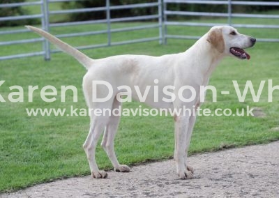 IMG_4657wnfh Money by Cottesmore Moleskin'15 - Saucepan '11