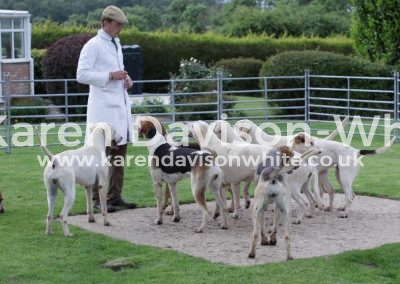 IMG_4669wnfh bitches young entry