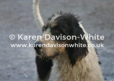 img_4741llangeinor-kdw