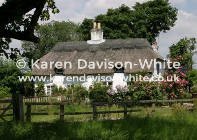 IMG_4774COPYRIGHT KARENDAVISONWHITE.CO.UK