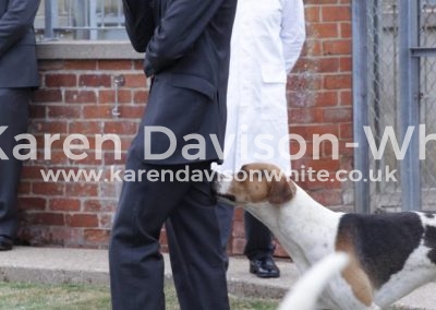 IMG_4788Charles Clark MFH Holderness