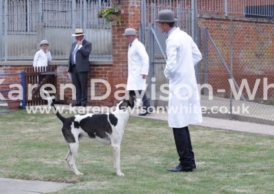 IMG_4793Badger Farthing '13 - Bula '14