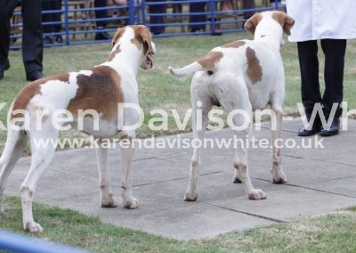 IMG_4803Banish and Busby