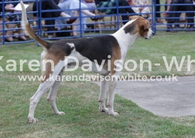 IMG_483Farmer (Dandy'15-Favour'14)