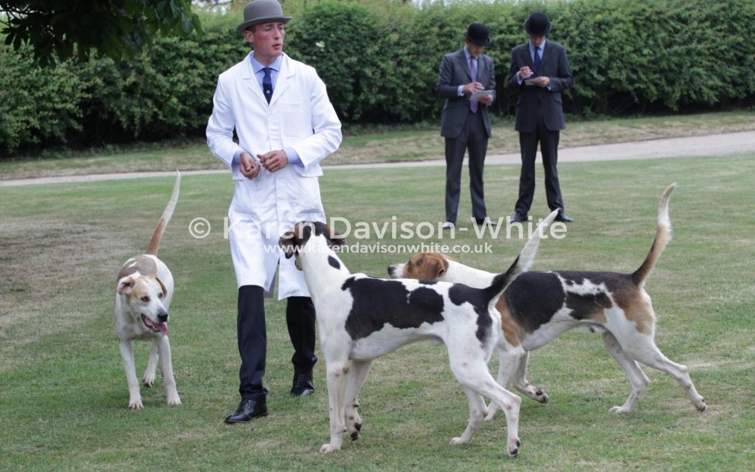 Thurlow Puppy Show 9.6.18