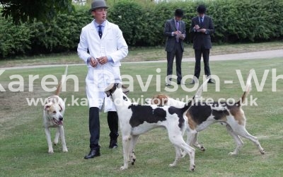 Thurlow Puppy Show 9.6.18