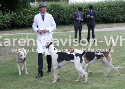 IMG_4842Banish 1st Badger 2nd Factor 3rd