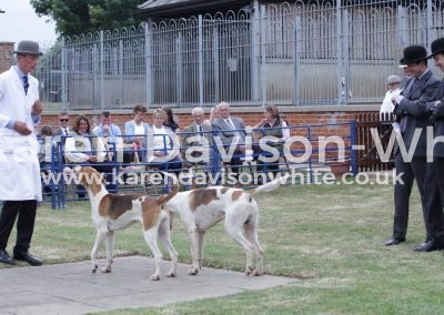 IMG_4868Rhapsody (Dandy '15-Rebecca'15 won championship Banish (Farthing '13 - Bula '14)