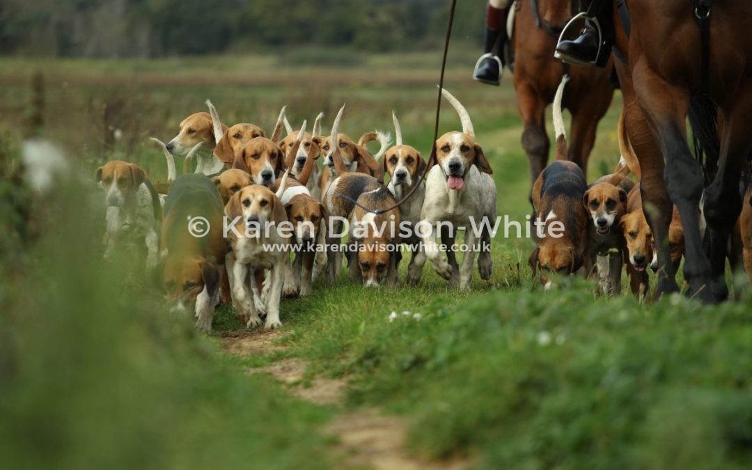 Happy smiling people having fun!