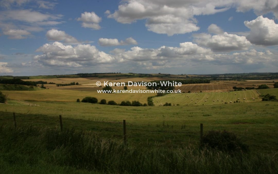 Thought you might like a little journey.