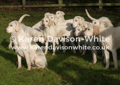 img_4965north-norfolk-harriers-karendavisonwhite-co-uk