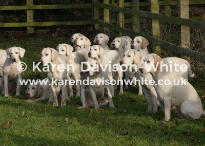 img_4989north-norfolk-harriers-karendavisonwhite-co-uk